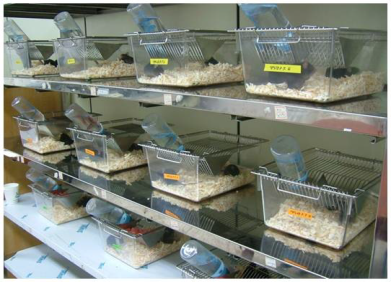 식품영양학과 활동