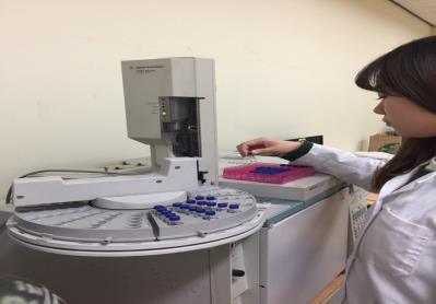 식품영양학과 활동