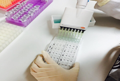 식품영양학과 활동